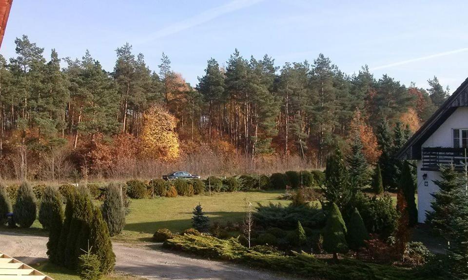 Pokoje Goscinne Przylesie Łobez Exteriér fotografie